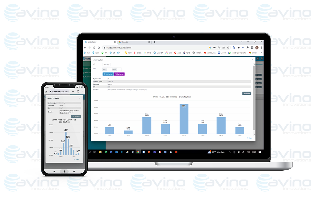 Scaletracer IoT Canlı Ağırlık Terazisi